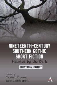 Cover image for Nineteenth-Century Southern Gothic Short Fiction: Haunted by the Dark