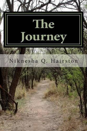 Cover image for The Journey