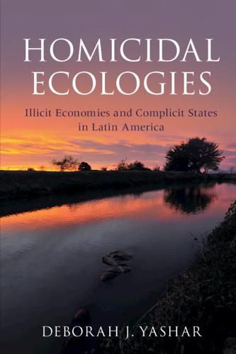 Cover image for Homicidal Ecologies: Illicit Economies and Complicit States in Latin America