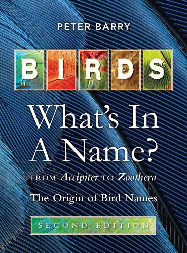 Cover image for Birds: What's in a Name