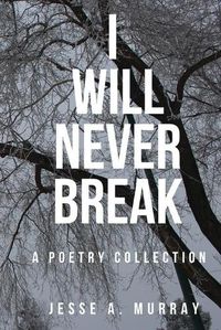 Cover image for I Will Never Break