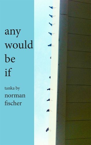 Cover image for Any Would Be If