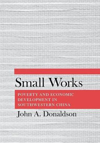 Cover image for Small Works: Poverty and Economic Development in Southwestern China