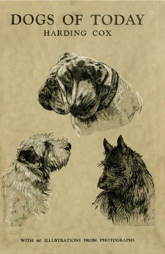 Cover image for Dogs of Today