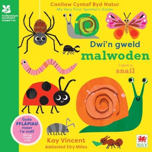 Cover image for Dwi'n Gweld Malwoden / I Spot a Snail