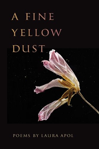 Cover image for A Fine Yellow Dust