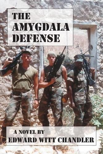 Cover image for The Amygdala Defense