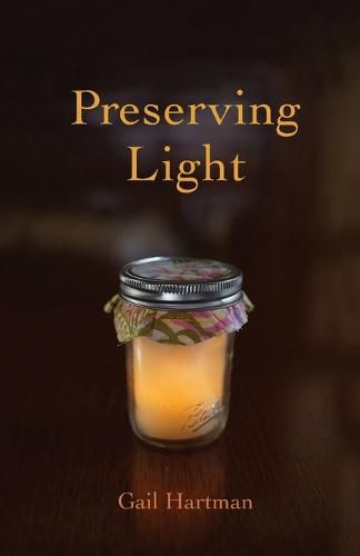 Cover image for Preserving Light