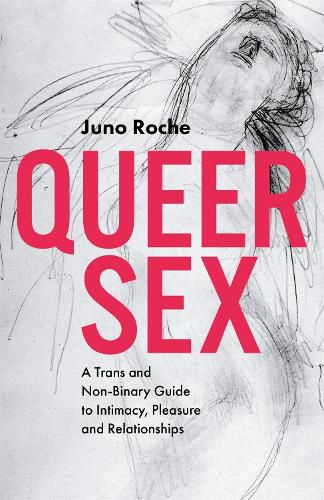 Cover image for Queer Sex: A Trans and Non-Binary Guide to Intimacy, Pleasure and Relationships