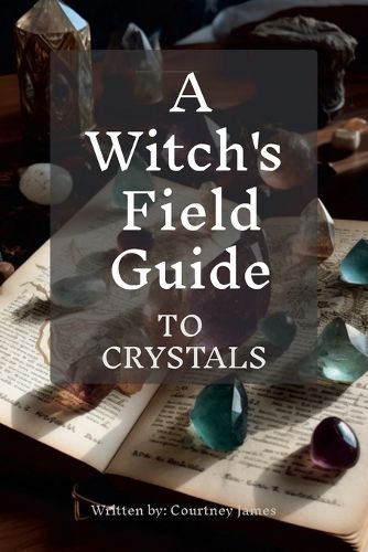 Cover image for A Witches Field Guide To Crystals