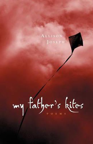 Cover image for My Father's Kites