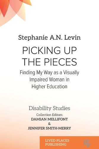 Cover image for Picking Up the Pieces