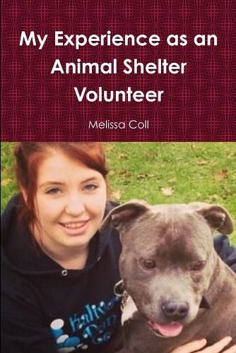 Cover image for My Experience as an Animal Shelter Volunteer
