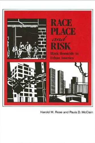 Cover image for Race, Place, and Risk: Black Homicide in Urban America