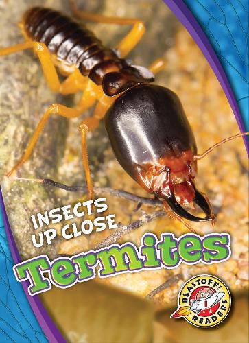 Cover image for Termites