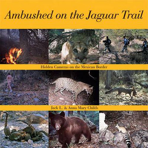 Ambushed on the Jaguar Trail: Hidden Cameras on the Mexican Border