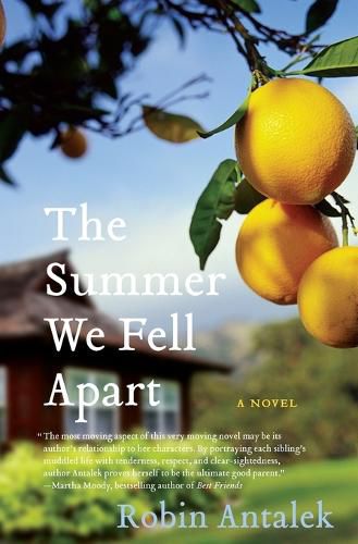 Cover image for The Summer We Fell Apart