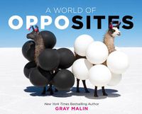 Cover image for A World of Opposites