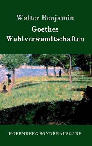 Cover image for Goethes Wahlverwandtschaften