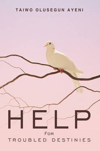 Cover image for Help for Troubled Destinies