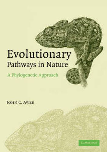 Cover image for Evolutionary Pathways in Nature: A Phylogenetic Approach