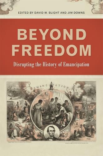 Beyond Freedom: Disrupting the History of Emancipation