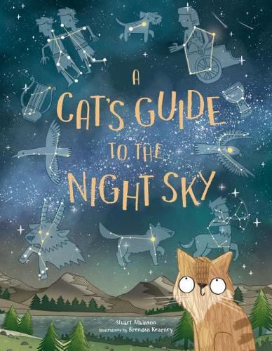 Cover image for A Cat's Guide to the Night Sky