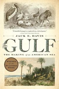 Cover image for The Gulf: The Making of An American Sea