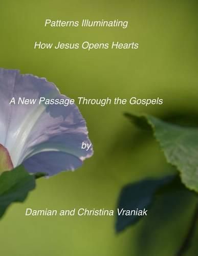 Cover image for Patterns Illuminating How Jesus Opens the Heart: : A New Passage Through the Gospels