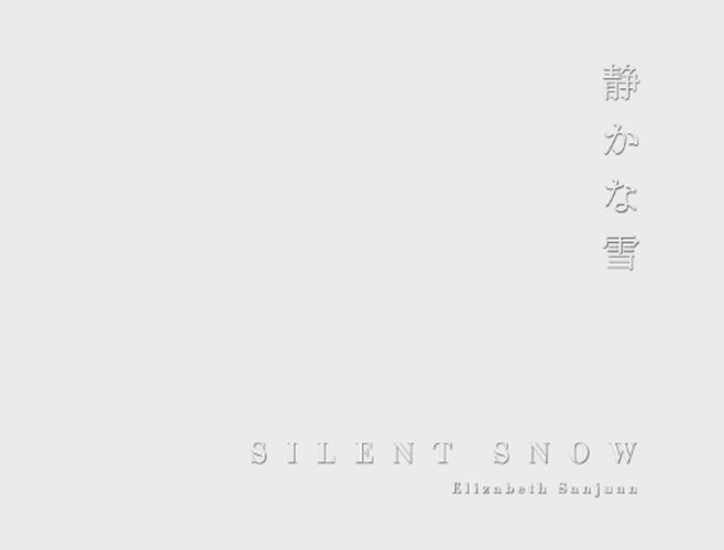 Cover image for Silent Snow