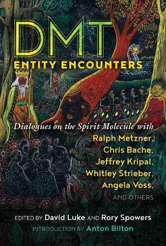 DMT Entity Encounters: Dialogues on the Spirit Molecule with Ralph Metzner, Chris Bache, Jeffrey Kripal, Whitley Strieber, Angela Voss, and Others