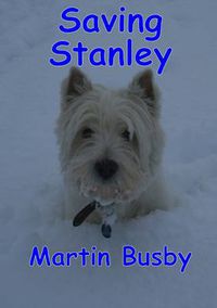 Cover image for Saving Stanley: an Adventure