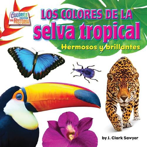 Cover image for Rain Forest Colors: Bright and Beautiful