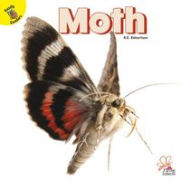 Cover image for Moth