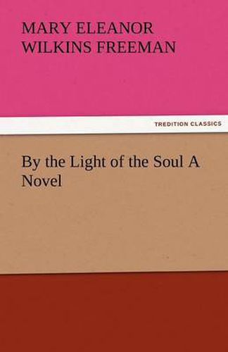 Cover image for By the Light of the Soul a Novel