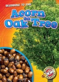 Cover image for Beginning To End: Acorn To Oak Tree