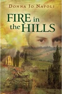 Cover image for Fire in the Hills