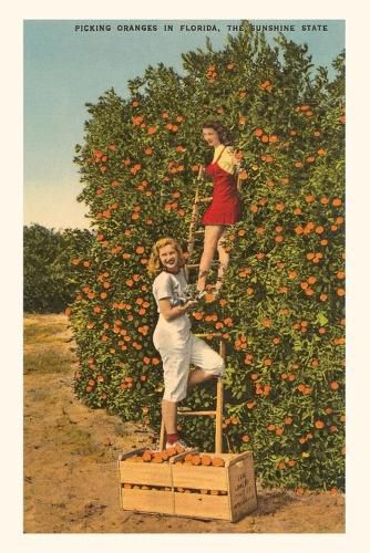 Cover image for Vintage Journal Women Picking Oranges, Florida