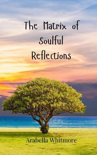 Cover image for The Matrix of Soulful Reflections