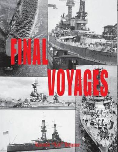 Cover image for Final Voyages