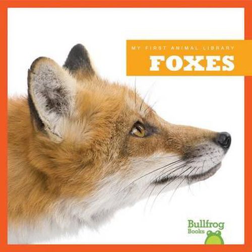 Cover image for Foxes