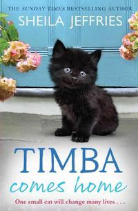 Cover image for Timba Comes Home
