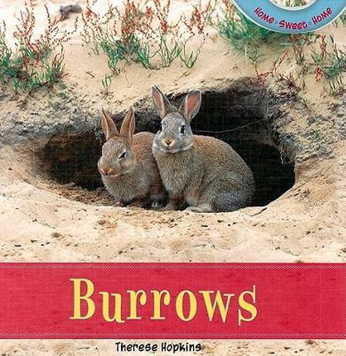 Cover image for Burrows