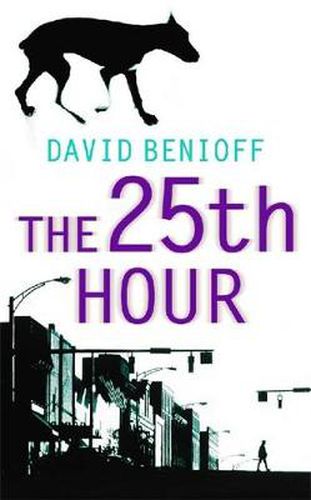 Cover image for The 25th Hour