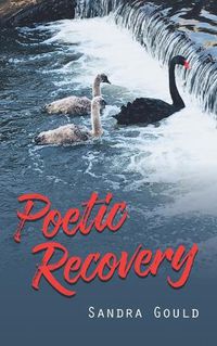 Cover image for Poetic Recovery