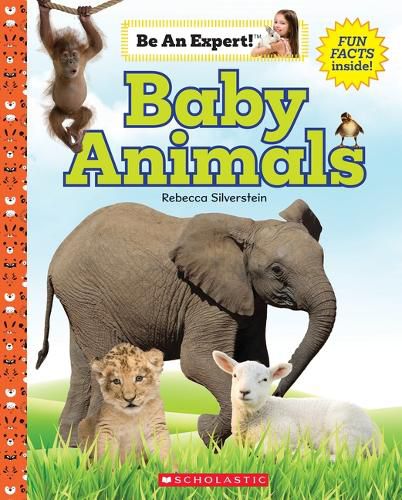 Cover image for Baby Animals (Be an Expert!)