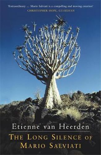 Cover image for The Long Silence of Mario Salviati