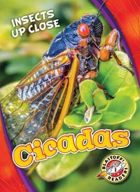 Cover image for Cicadas