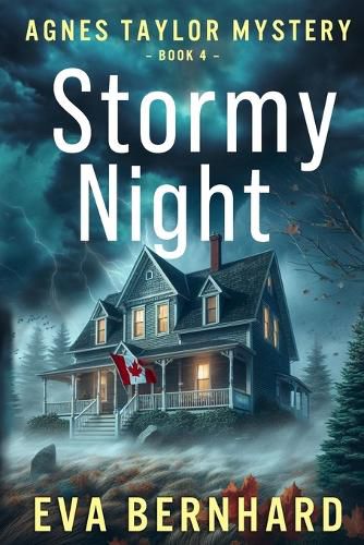Cover image for Stormy Night - Suspenseful Canadian Mystery