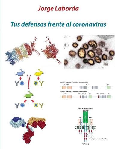 Cover image for Tus defensas frente al coronavirus